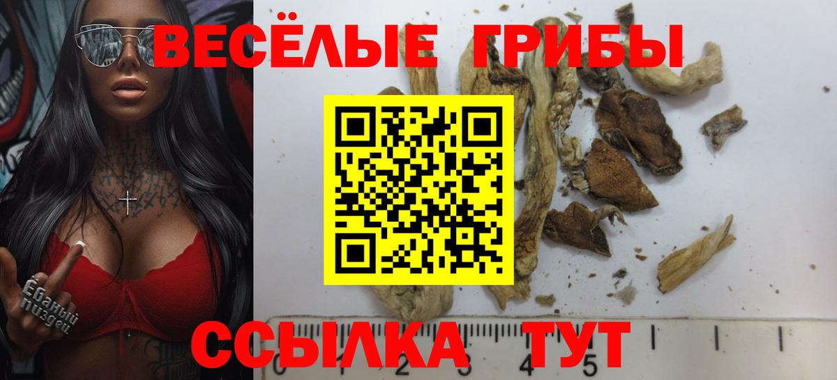 Псилоцибиновые грибы Psilocybe  Вход с VPN  где купить наркотик  Горячий Ключ 