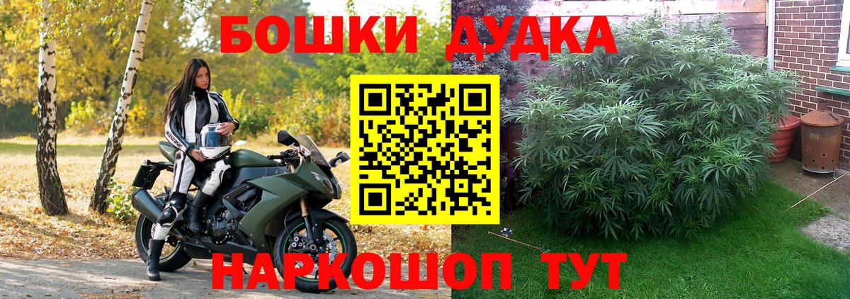 Конопля конопля  Вход с VPN  Горячий Ключ  Конопля SATIVA & INDICA  Шишки марихуана Amnesia 